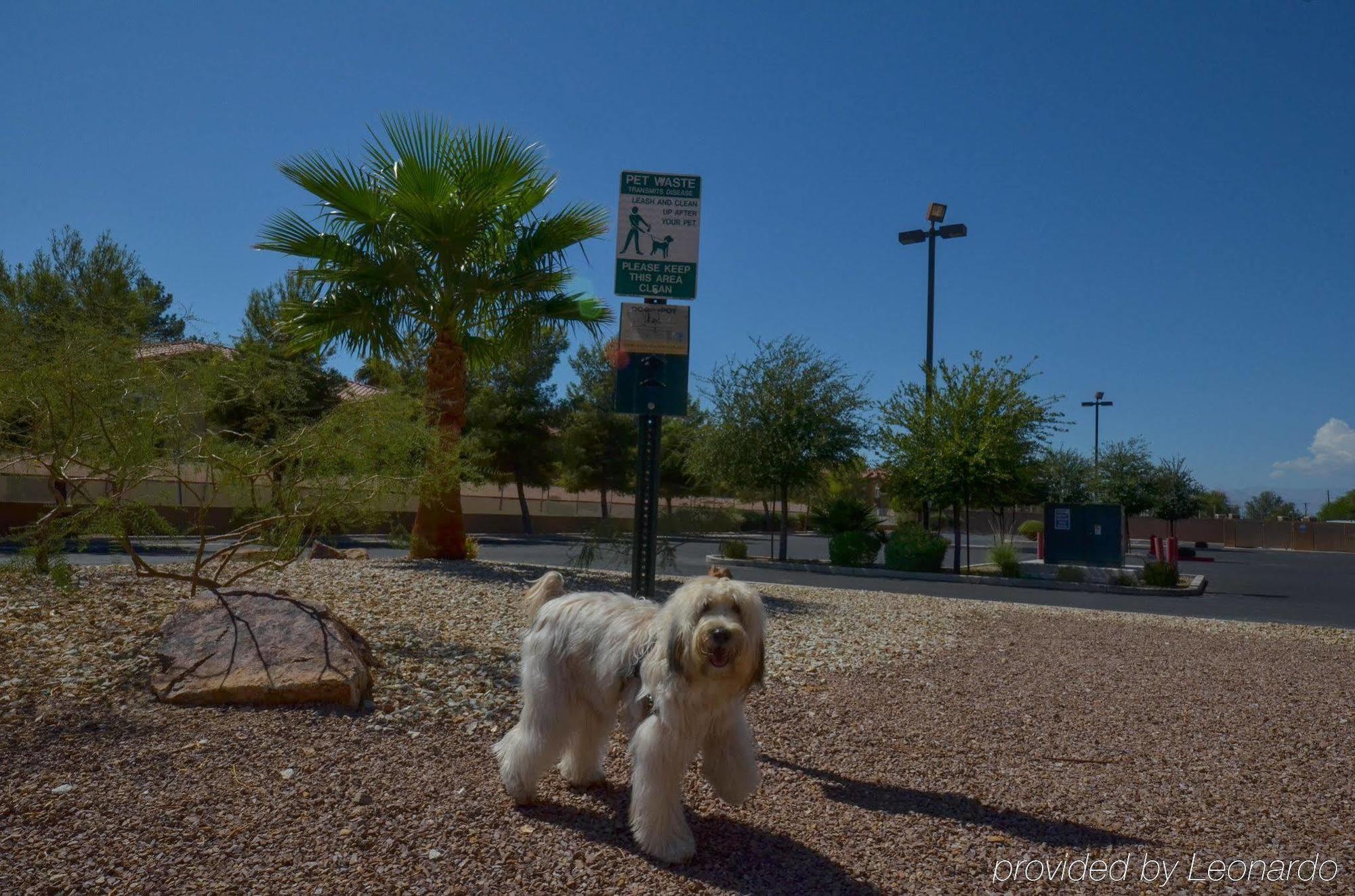 Holiday Inn Express Las Vegas-Nellis By Ihg Eksteriør bilde